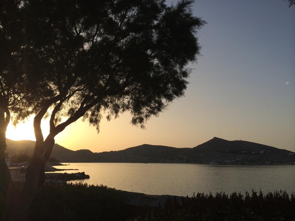 מלון Almira - Seafront - Paros